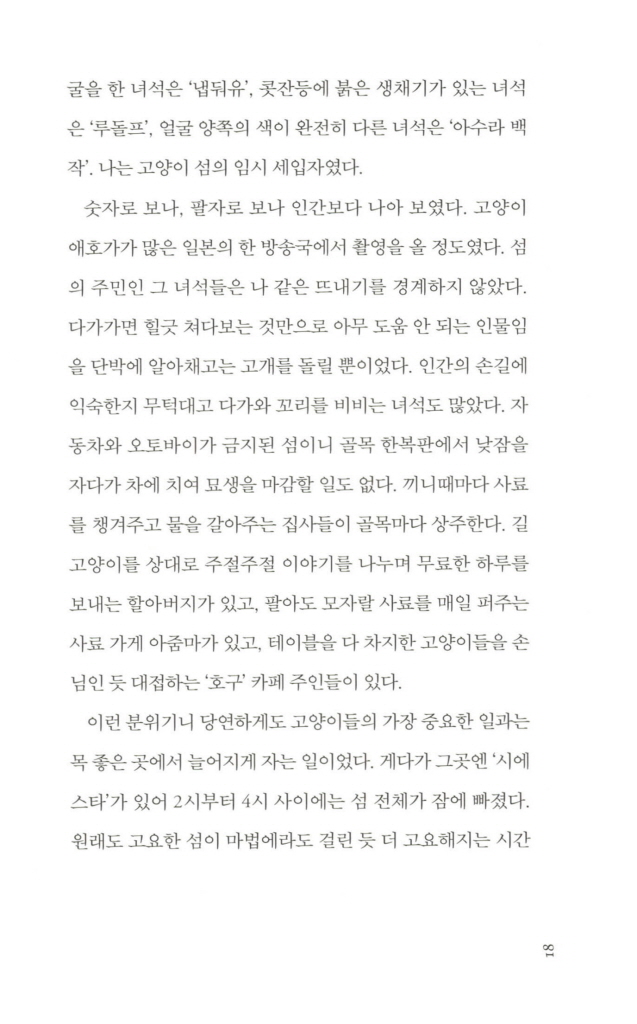 17페이지