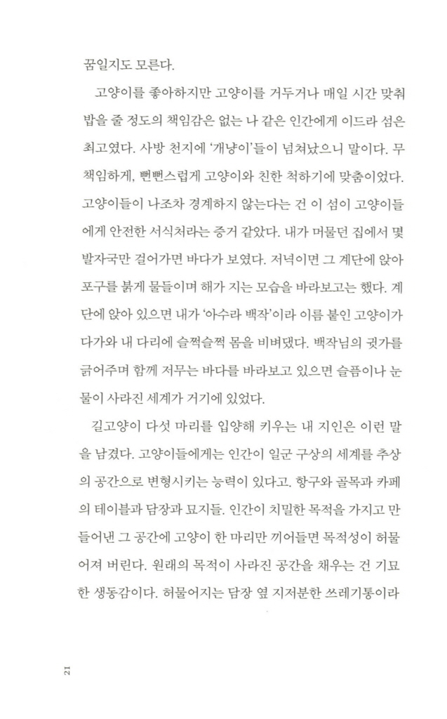 20페이지