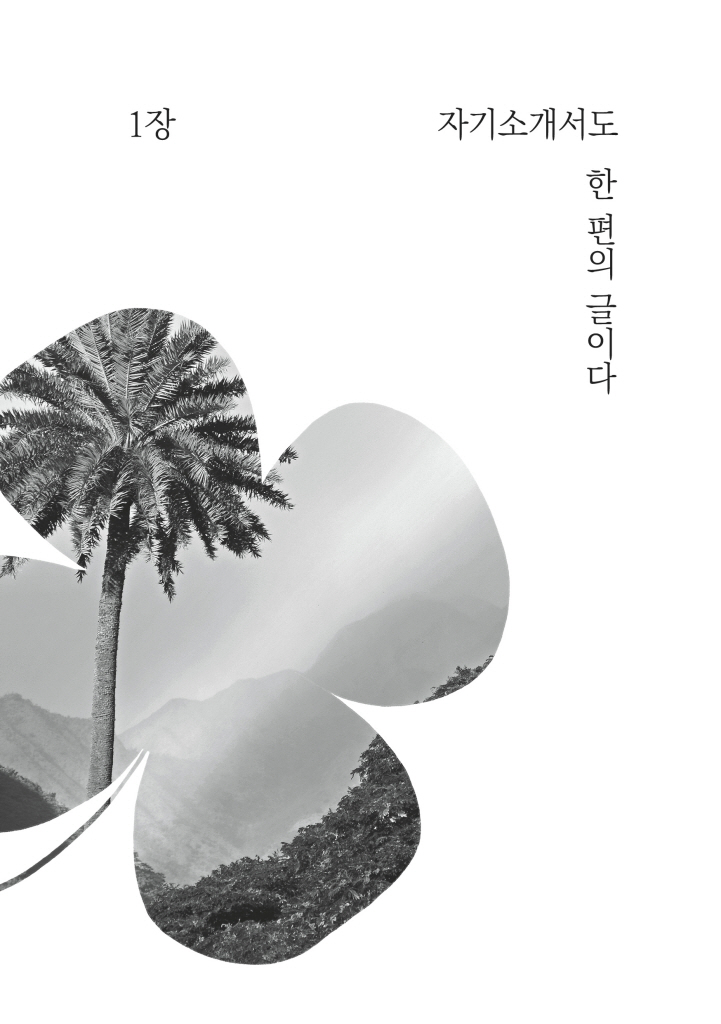 12페이지