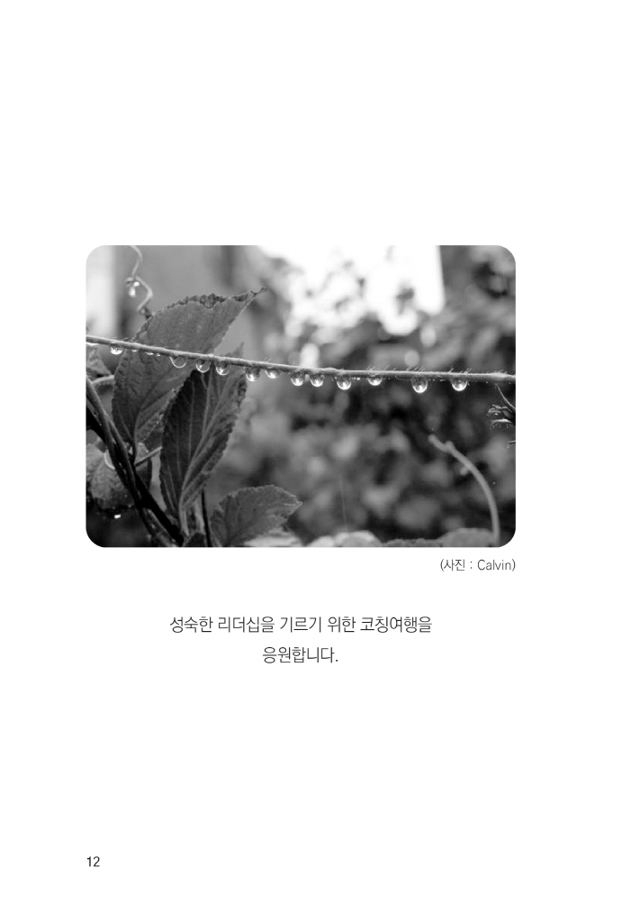 11페이지