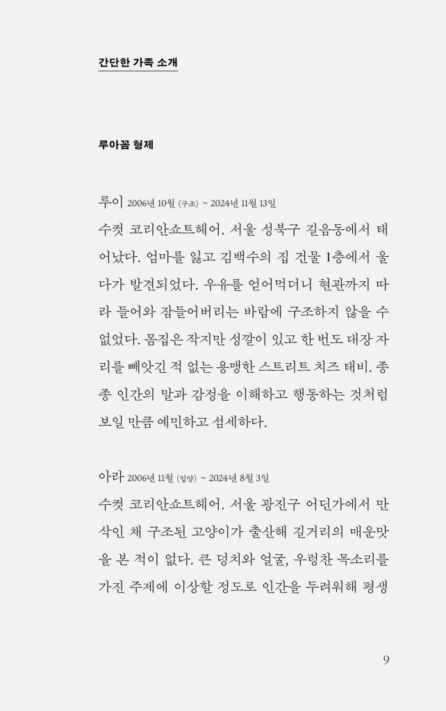 10페이지
