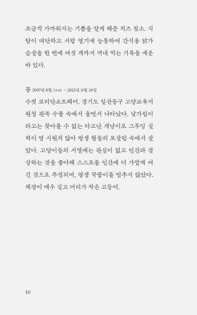 11페이지