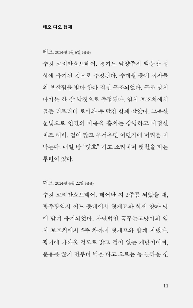 12페이지