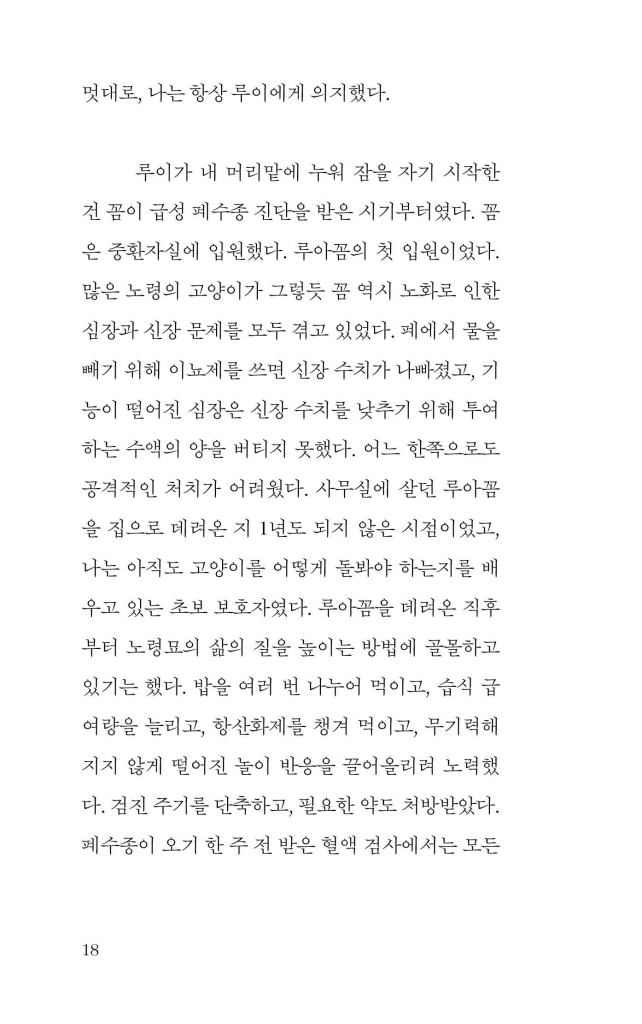 19페이지