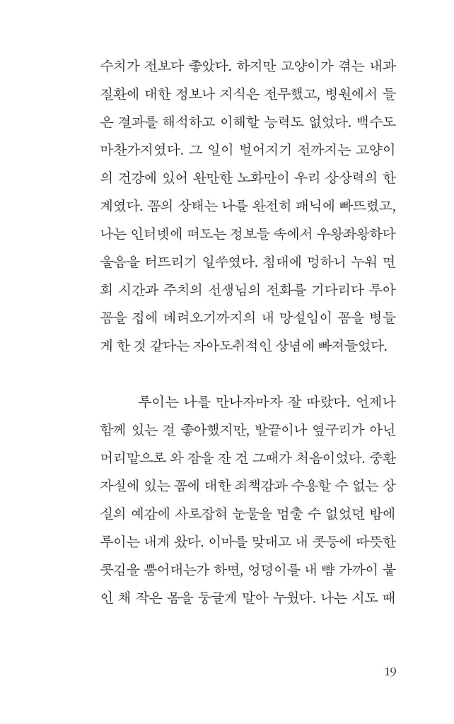 20페이지