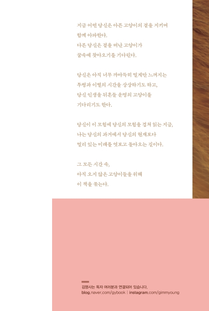 22페이지