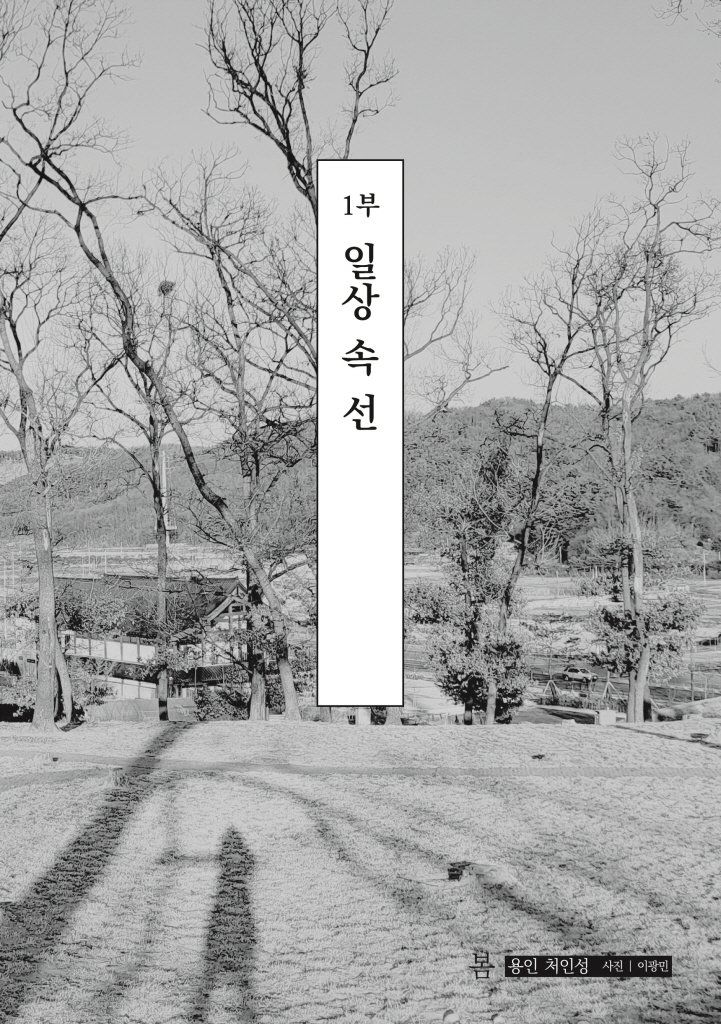 12페이지