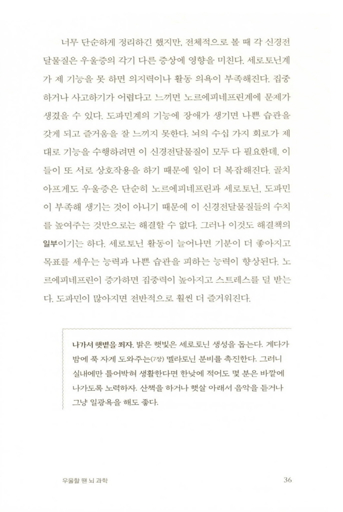 25페이지