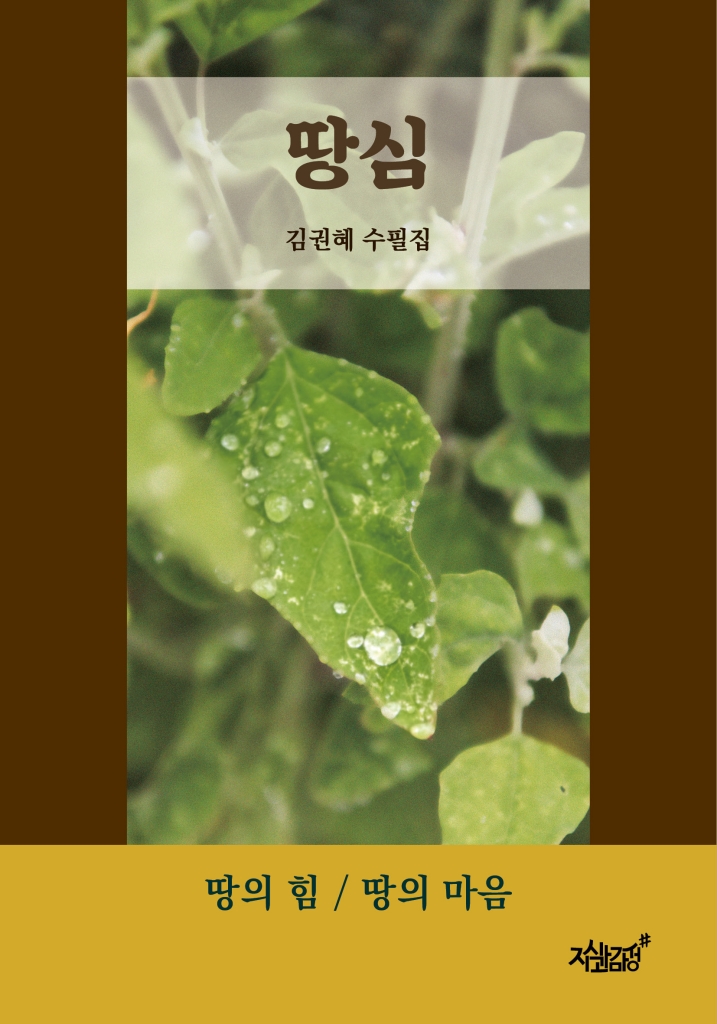 미리보기 표지
