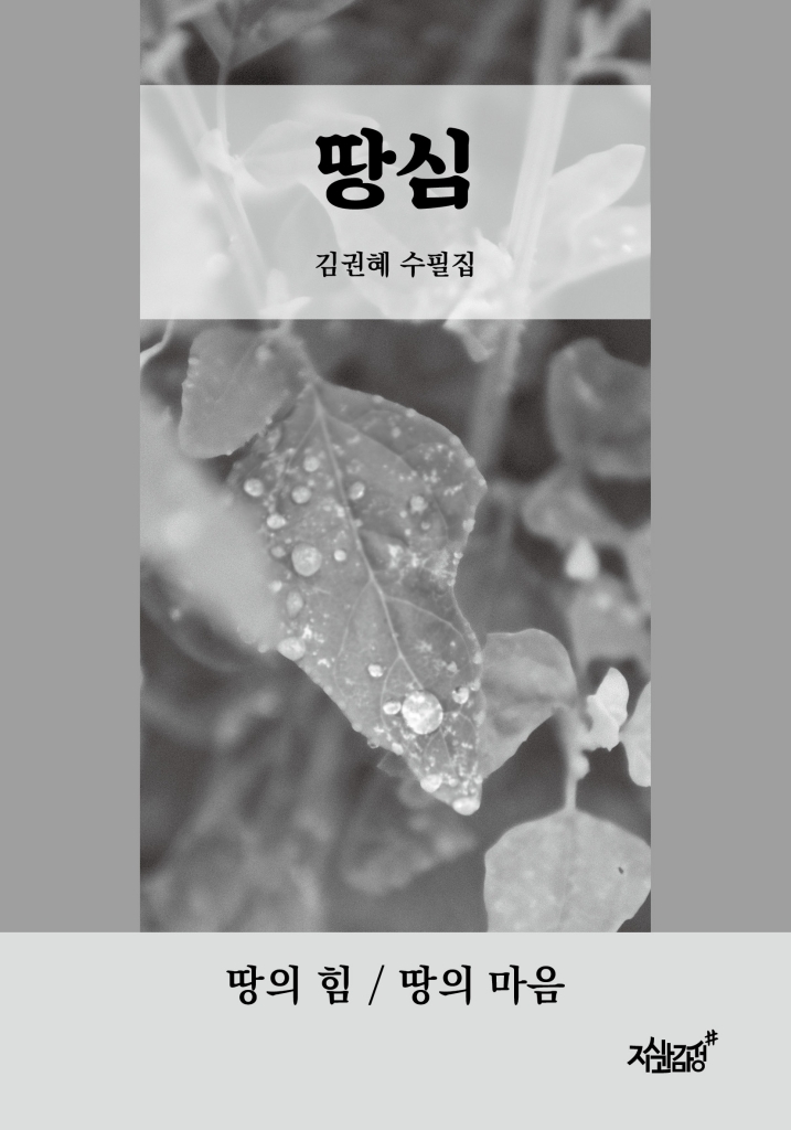 4페이지