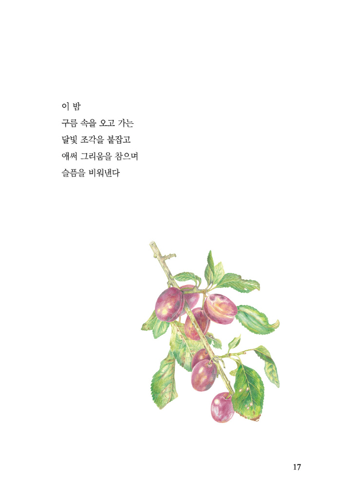 18페이지