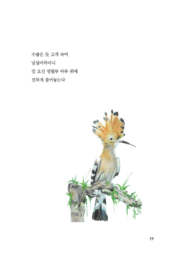 20페이지
