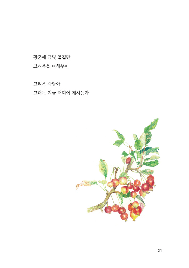 22페이지