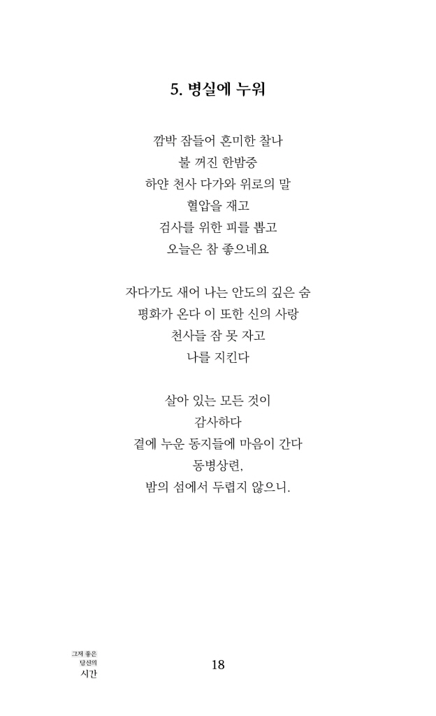 19페이지