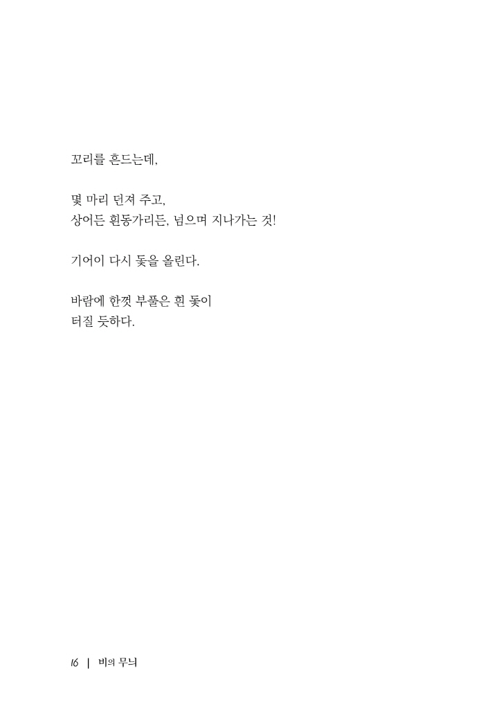 17페이지