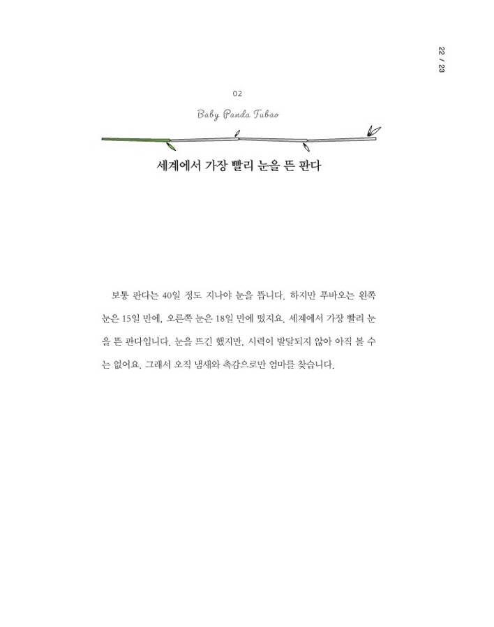 13페이지