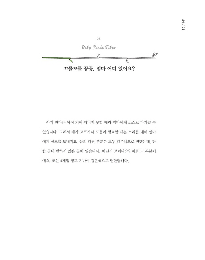15페이지