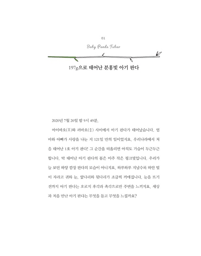 12페이지