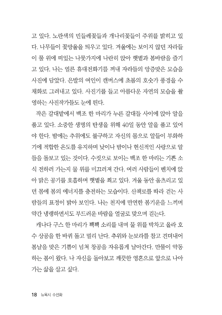 19페이지