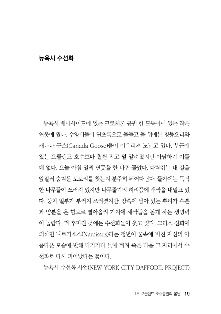 20페이지