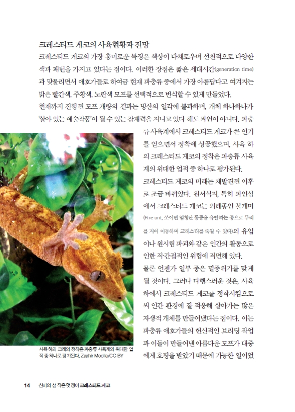 13페이지