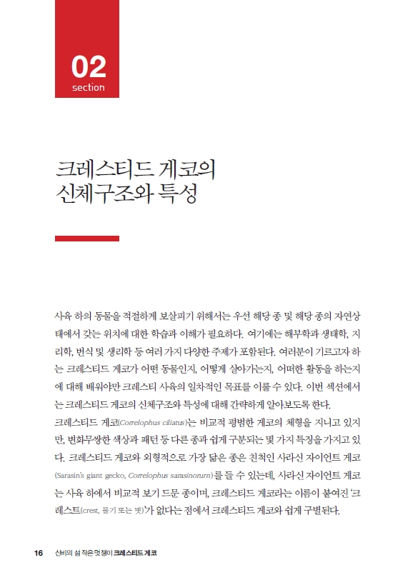 15페이지