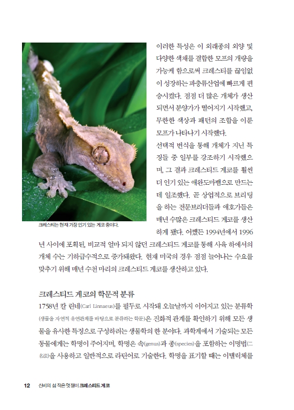 11페이지
