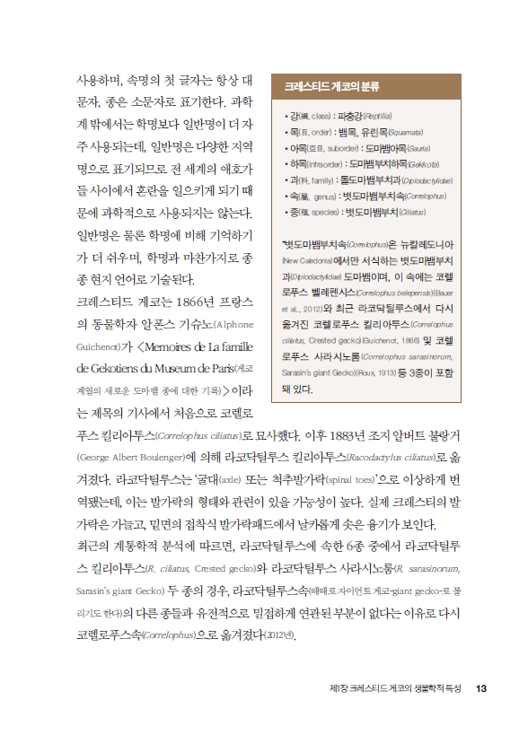 12페이지