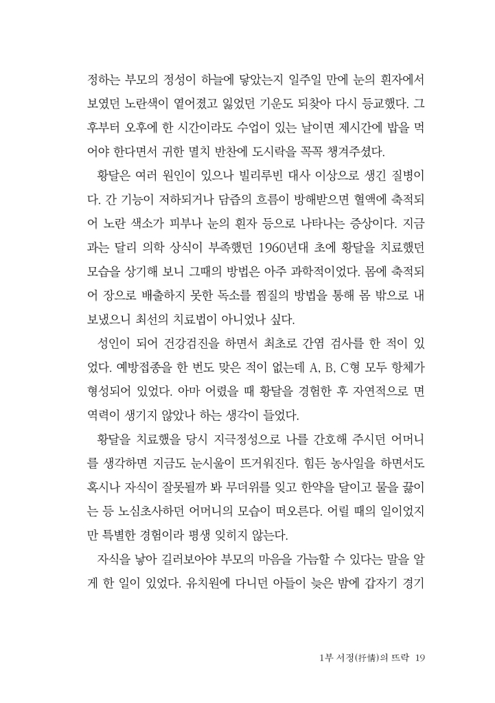 20페이지