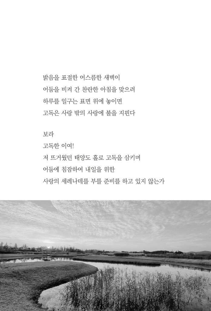 16페이지