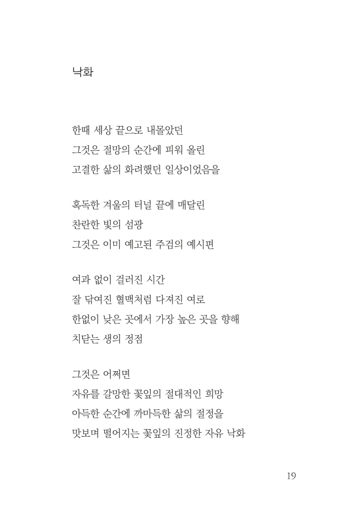 20페이지