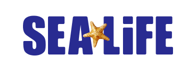 씨라이프 아쿠아리움