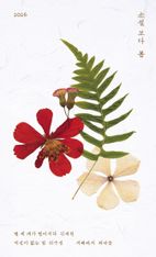 소설 보다: 봄 2026