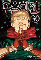 주술회전 30: 앞으로