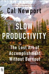 Slow Productivity(Paperback)