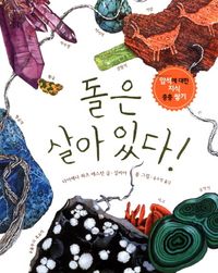 교보문고 페이지로 이동 돌은 살아 있다!:암석에 대한 지식 층층 쌓기