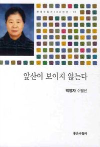 [국내도서] 앞산이 보이지 않는다