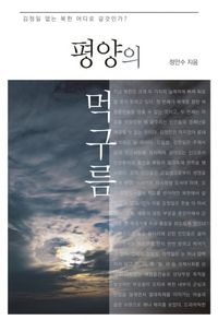 [국내도서] 평양의 먹구름