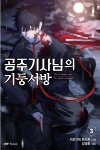 [국내도서] 공주기사님의 기둥서방 3