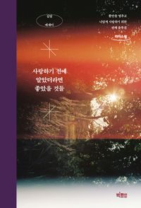 사랑하기 전에 알았더라면 좋았을 것들(큰글자도서)