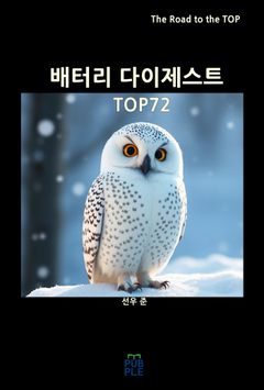 미래의 기억(개정판) | 이은래 | 돋을새김 - 교보ebook