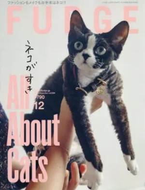 퍼지 FUDGE 2025.12