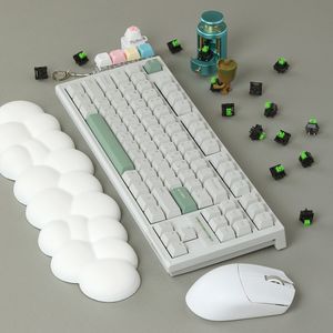 SPM PL87C PBT 몽돌 텐키리스 게이밍 기계식 키보드