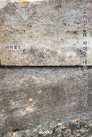 갈라진틈사이로네가쏟아져나왔다 (컬러판)