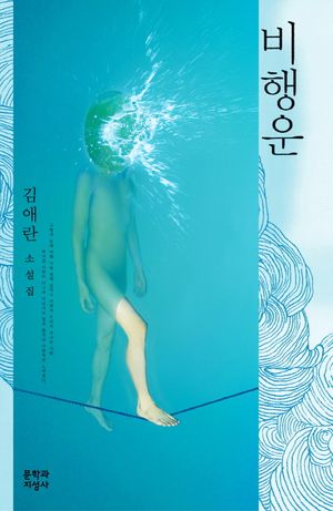 비행운: 너의 여름은 어떠니