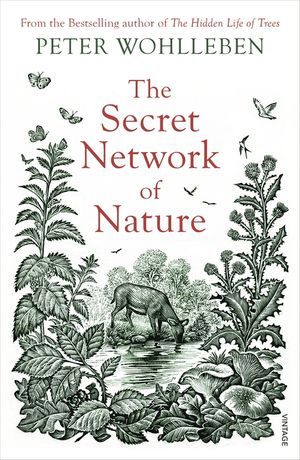 The Secret Network of Nature The Delicate Balance of All Living Things