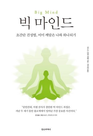 빅 마인드   초간단 견성법, 이미 깨달은 나와 하나되기,Big Mind