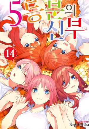 [eBook] 5등분의 신부. 14