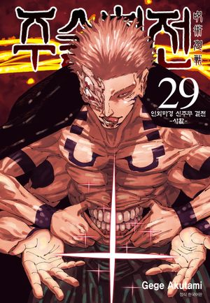 [eBook] 주술회전. 29