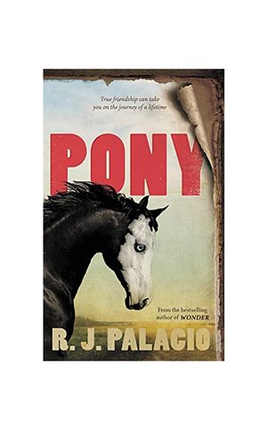 Pony - 원더 Wonder 저자 신간